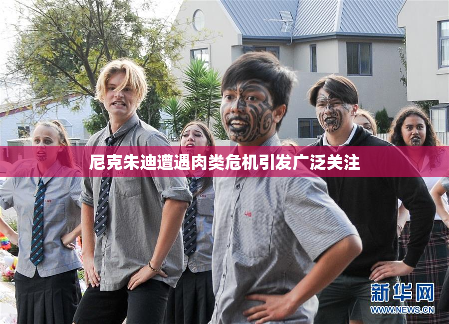 尼克朱迪遭遇肉类危机引发广泛关注