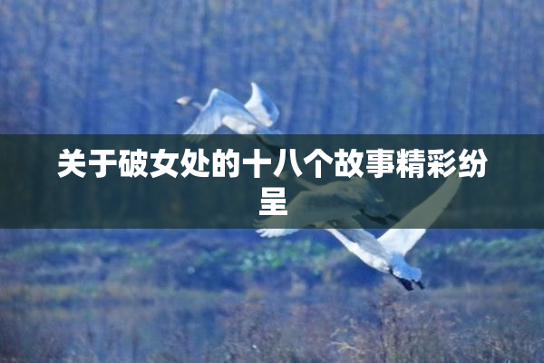 关于破女处的十八个故事精彩纷呈