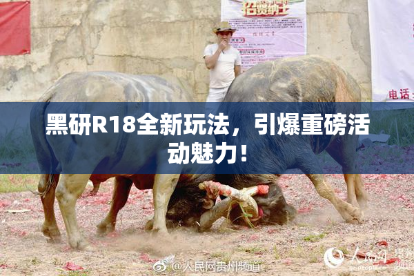 黑研R18全新玩法，引爆重磅活动魅力！