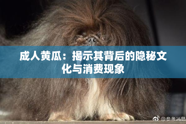 成人黄瓜：揭示其背后的隐秘文化与消费现象