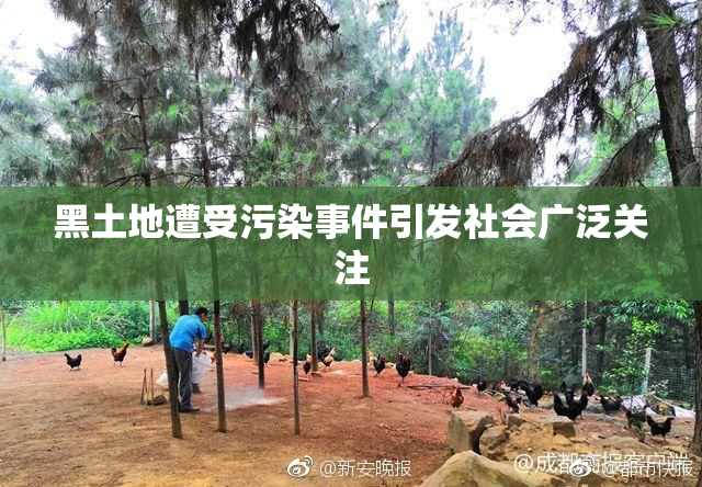 黑土地遭受污染事件引发社会广泛关注