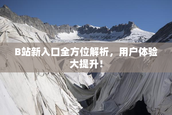 B站新入口全方位解析，用户体验大提升！