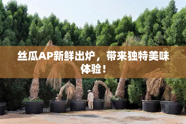 丝瓜AP新鲜出炉，带来独特美味体验！