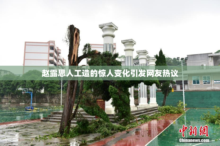 赵露思人工造的惊人变化引发网友热议