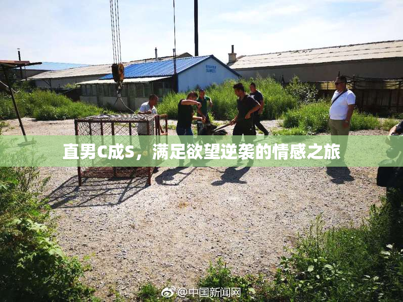 直男C成S，满足欲望逆袭的情感之旅
