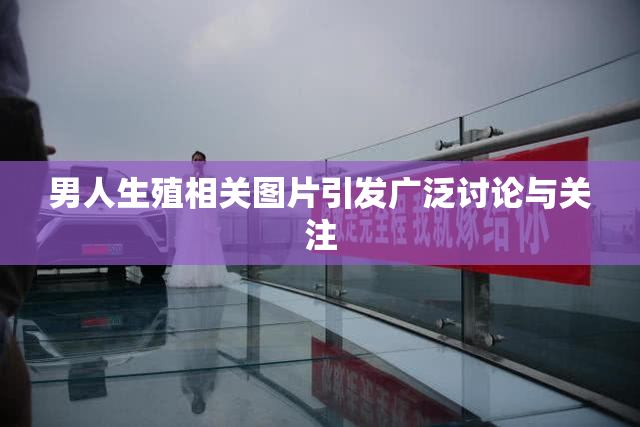 男人生殖相关图片引发广泛讨论与关注