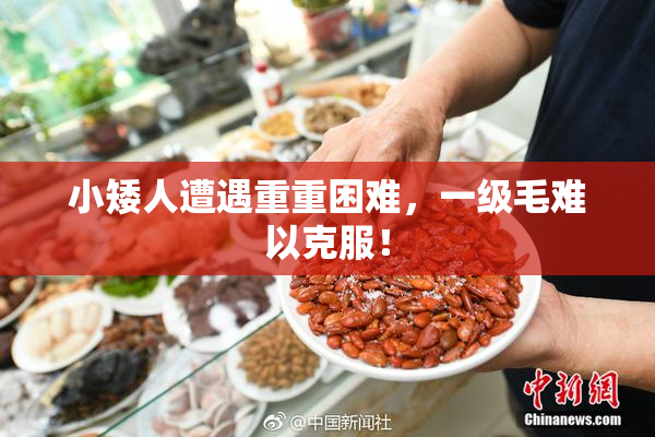 小矮人遭遇重重困难，一级毛难以克服！