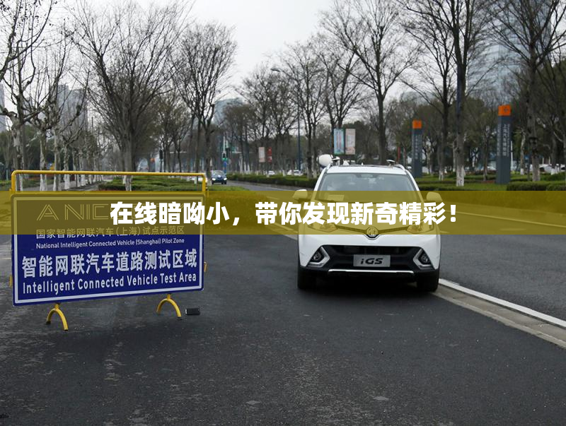 在线暗呦小，带你发现新奇精彩！