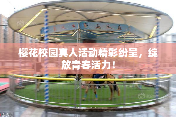 樱花校园真人活动精彩纷呈，绽放青春活力！