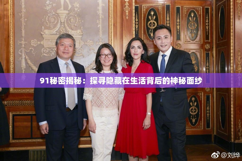 91秘密揭秘：探寻隐藏在生活背后的神秘面纱