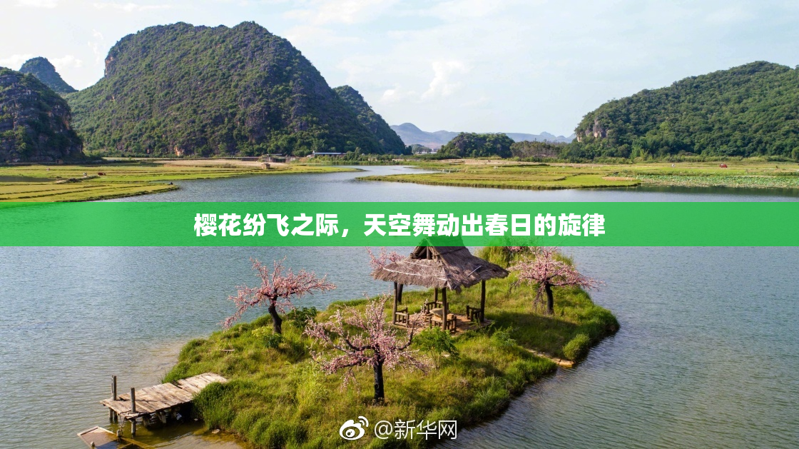 樱花纷飞之际，天空舞动出春日的旋律
