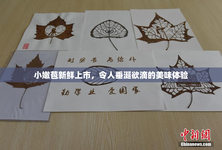 小嫩苞新鲜上市，令人垂涎欲滴的美味体验