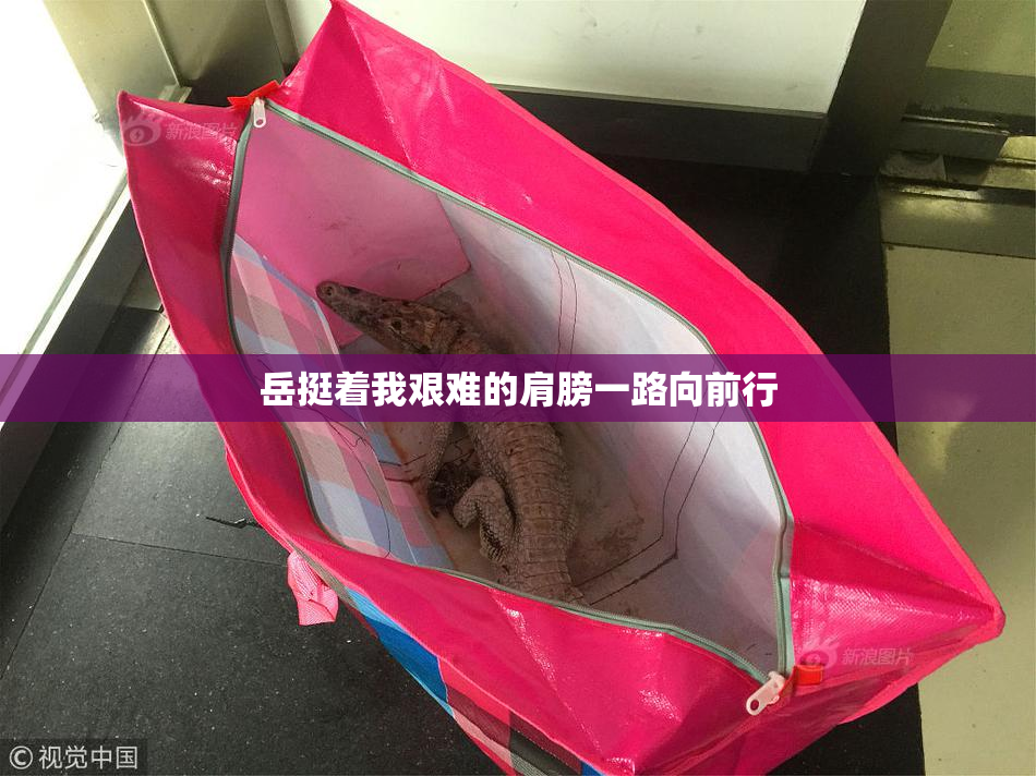 岳挺着我艰难的肩膀一路向前行
