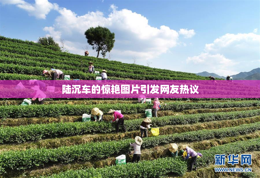 陆沉车的惊艳图片引发网友热议