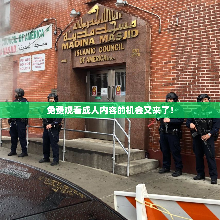 免费观看成人内容的机会又来了！