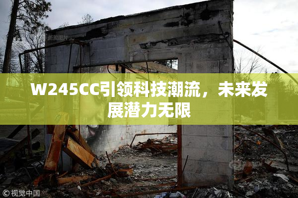 W245CC引领科技潮流，未来发展潜力无限