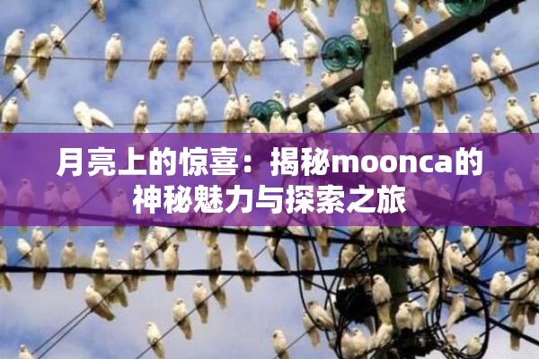 月亮上的惊喜：揭秘moonca的神秘魅力与探索之旅