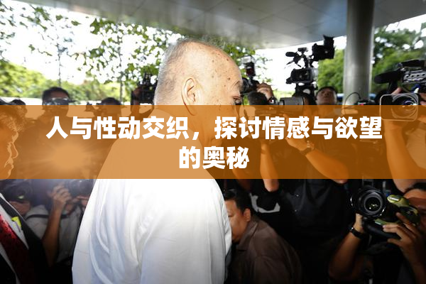 人与性动交织，探讨情感与欲望的奥秘