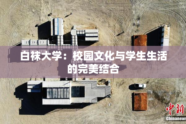 白袜大学：校园文化与学生生活的完美结合