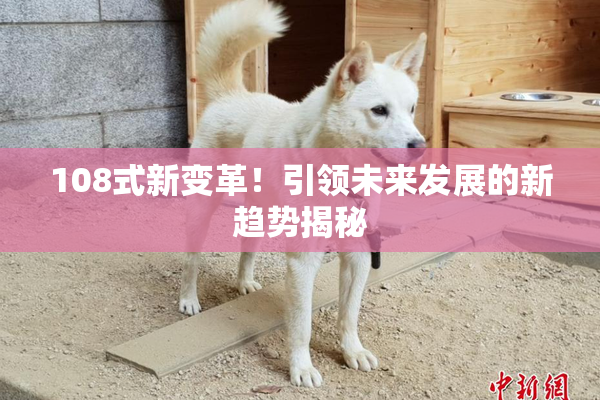 108式新变革！引领未来发展的新趋势揭秘