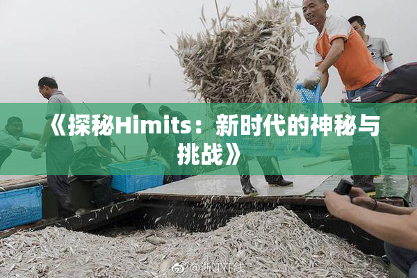 《探秘Himits：新时代的神秘与挑战》