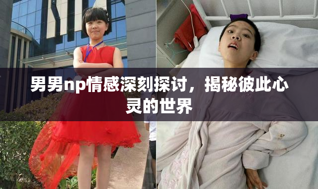 男男np情感深刻探讨，揭秘彼此心灵的世界