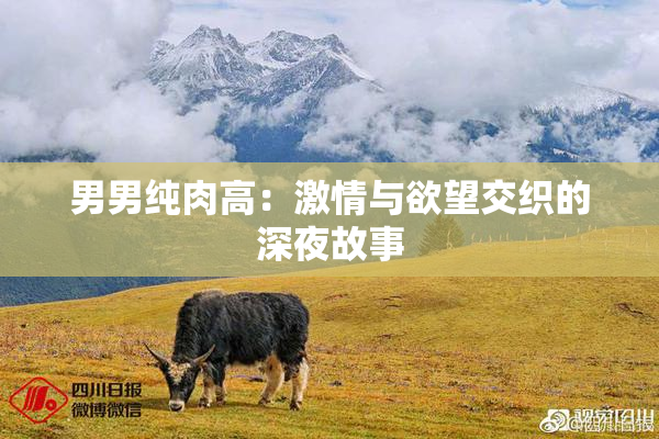 男男纯肉高：激情与欲望交织的深夜故事
