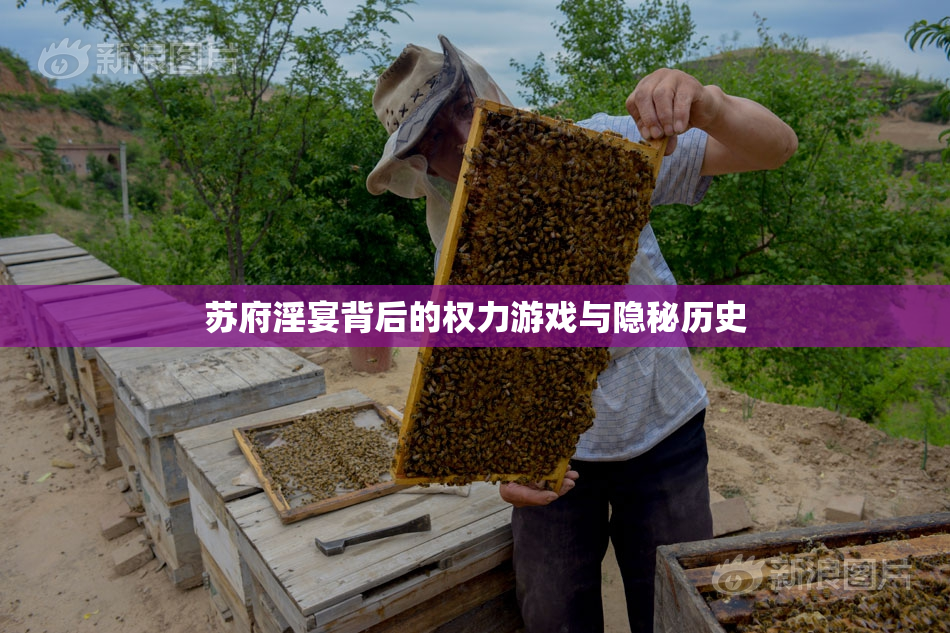 苏府淫宴背后的权力游戏与隐秘历史