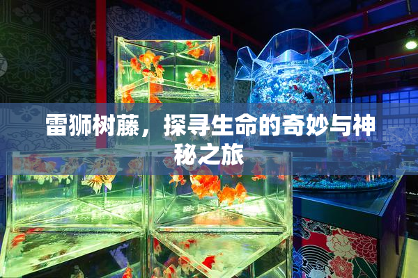 雷狮树藤，探寻生命的奇妙与神秘之旅