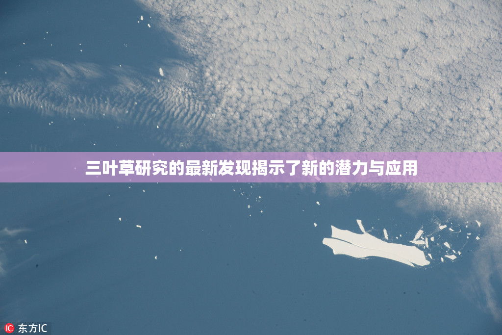 三叶草研究的最新发现揭示了新的潜力与应用