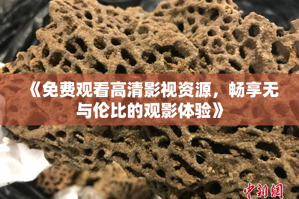 《免费观看高清影视资源，畅享无与伦比的观影体验》