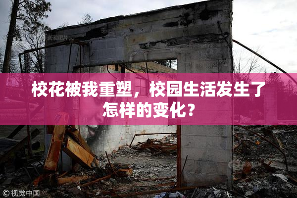 校花被我重塑，校园生活发生了怎样的变化？
