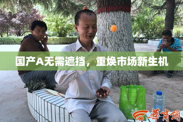 国产A无需遮挡，重焕市场新生机