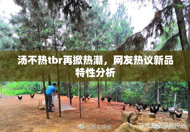 汤不热tbr再掀热潮，网友热议新品特性分析