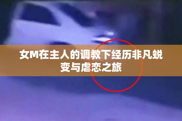 女M在主人的调教下经历非凡蜕变与虐恋之旅