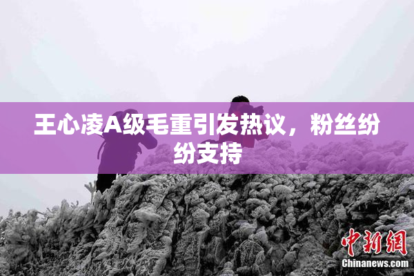 王心凌A级毛重引发热议，粉丝纷纷支持