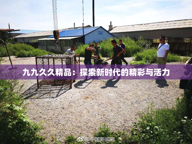 九九久久精品：探索新时代的精彩与活力