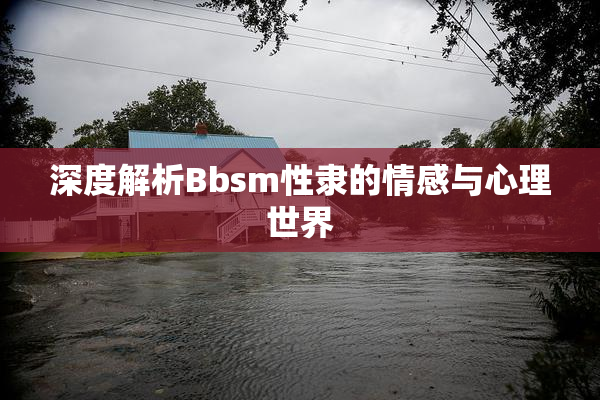 深度解析Bbsm性隶的情感与心理世界