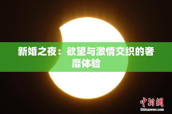 新婚之夜：欲望与激情交织的奢靡体验