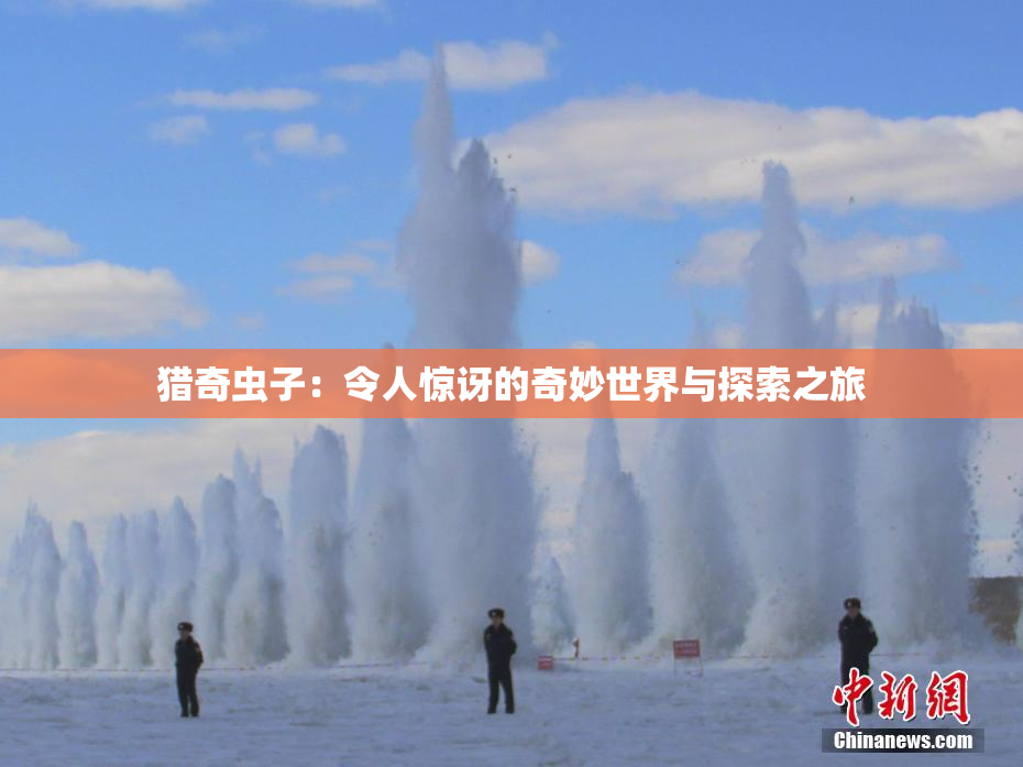 猎奇虫子：令人惊讶的奇妙世界与探索之旅