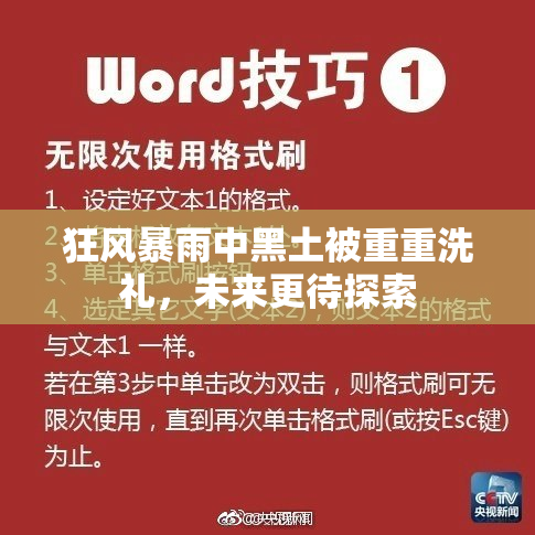狂风暴雨中黑土被重重洗礼，未来更待探索