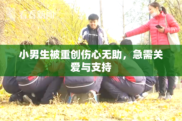 小男生被重创伤心无助，急需关爱与支持