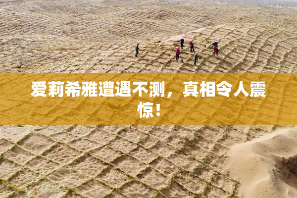 爱莉希雅遭遇不测，真相令人震惊！