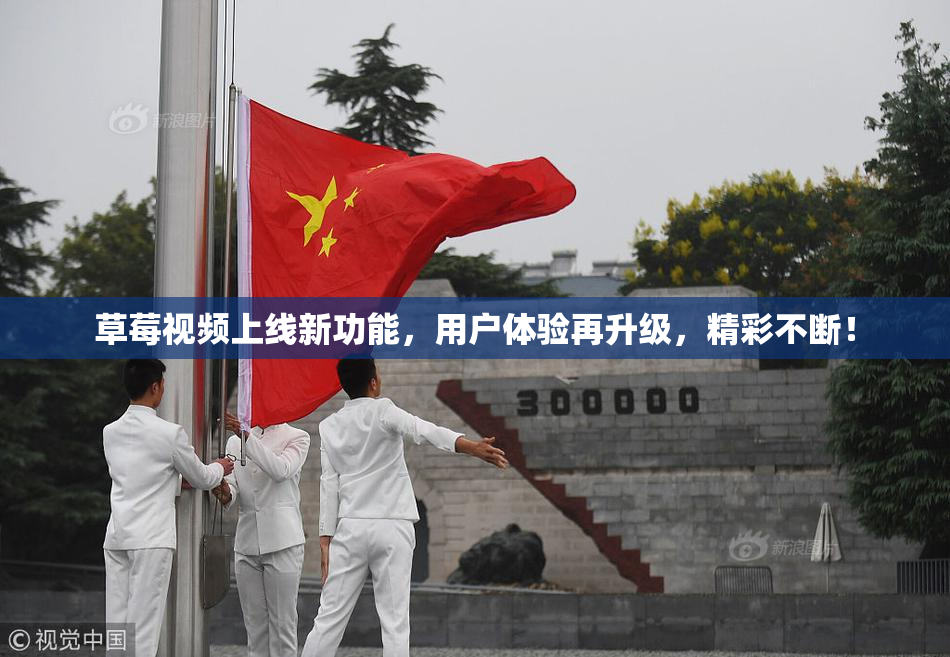 草莓视频上线新功能，用户体验再升级，精彩不断！
