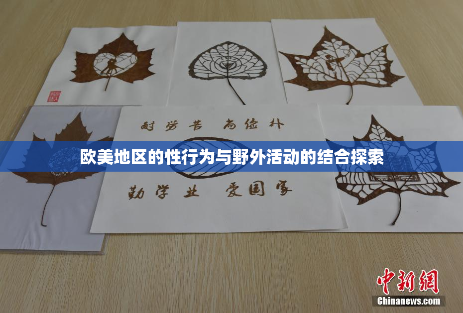 欧美地区的性行为与野外活动的结合探索