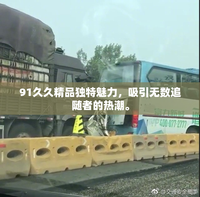 91久久精品独特魅力，吸引无数追随者的热潮。