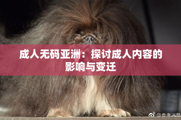 成人无码亚洲：探讨成人内容的影响与变迁