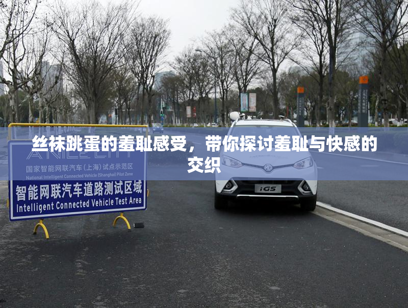 丝袜跳蛋的羞耻感受，带你探讨羞耻与快感的交织