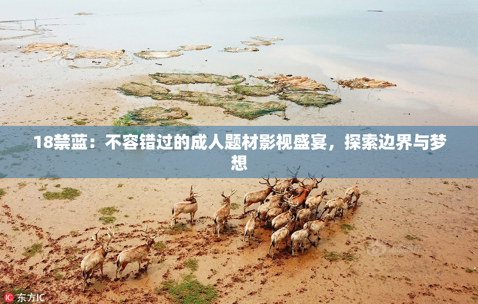 18禁蓝：不容错过的成人题材影视盛宴，探索边界与梦想