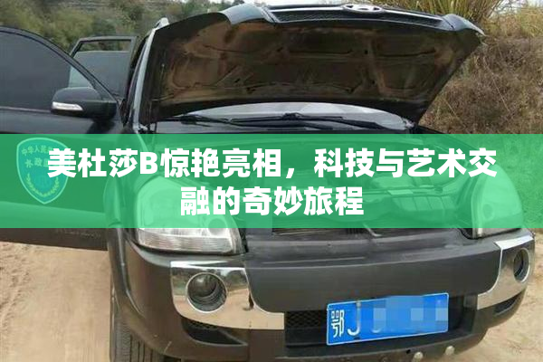 美杜莎B惊艳亮相，科技与艺术交融的奇妙旅程